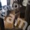 Елизавета